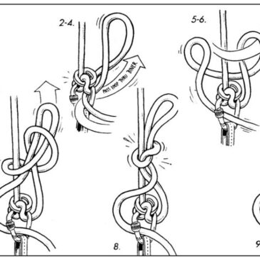 Knots Eval